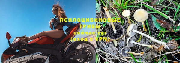 синтетический гашиш Армянск