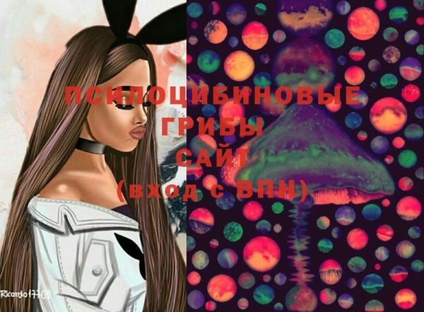 дурь Аркадак
