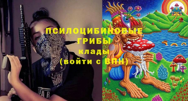 МДПВ Арсеньев